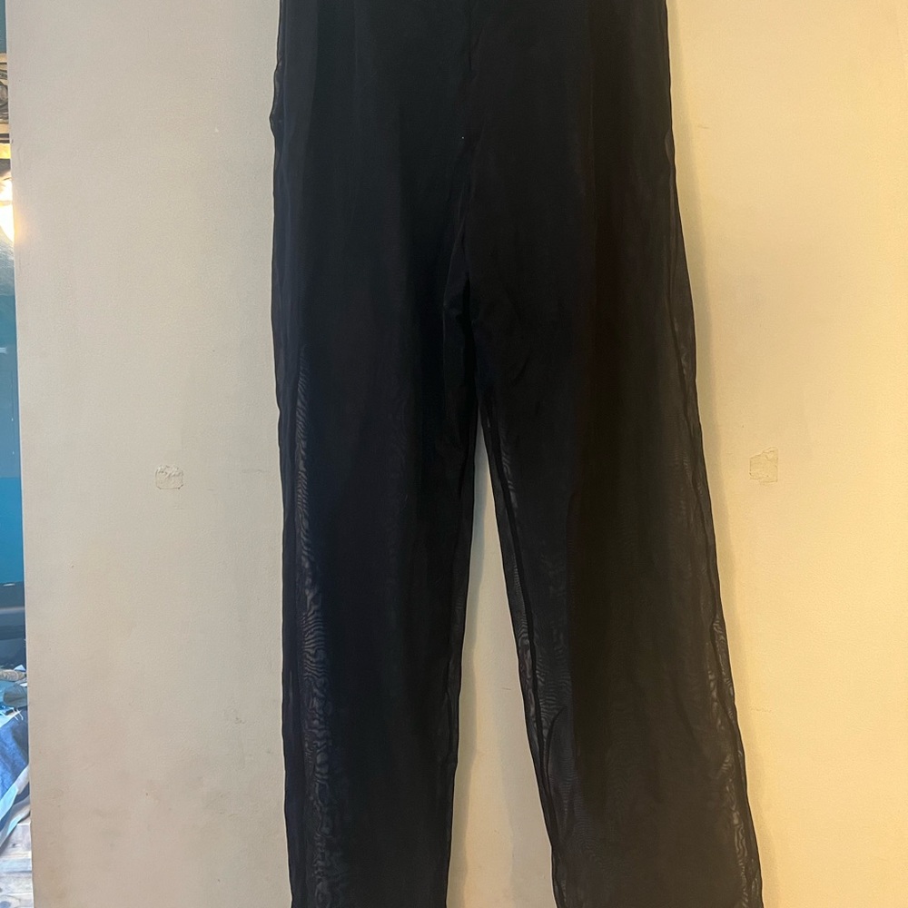 Giorgio Armani See through Pants
